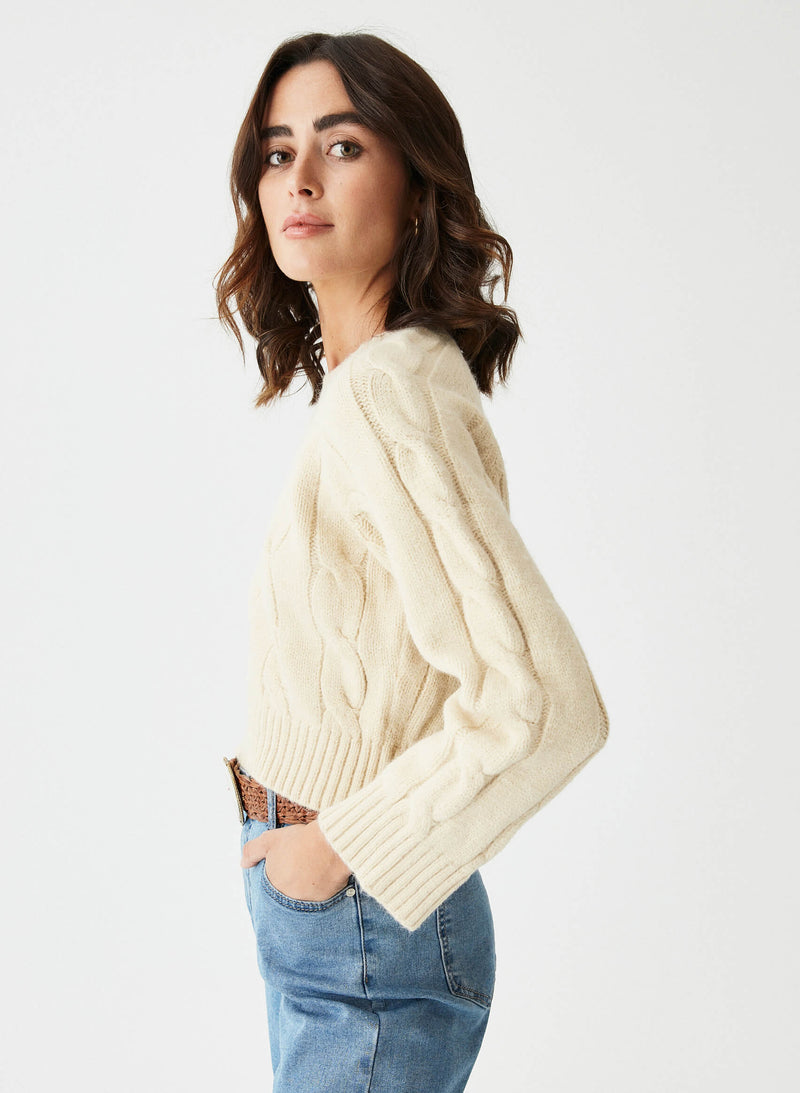 Jersey cropped nudos